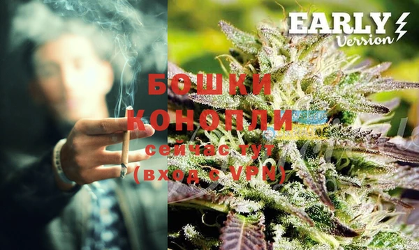 прущие грибы Заволжск