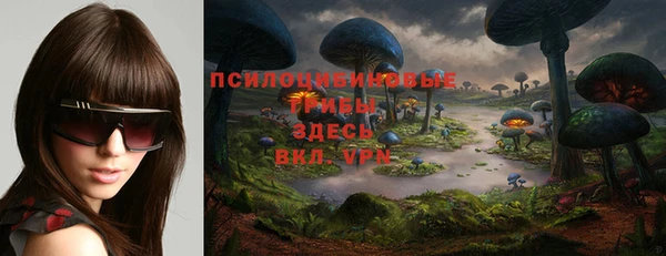 MESCALINE Елабуга